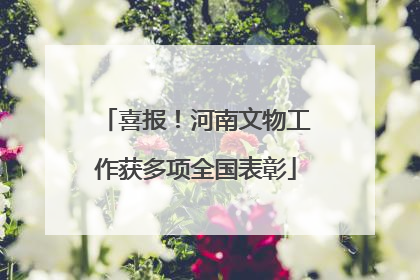 喜报！河南文物工作获多项全国表彰
