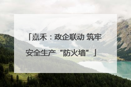 嘉禾：政企联动 筑牢安全生产“防火墙”