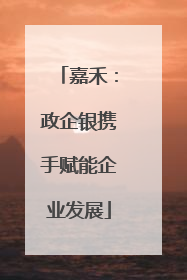 嘉禾：政企银携手赋能企业发展