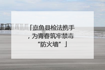 嘉鱼县检法携手，为青春筑牢禁毒“防火墙”