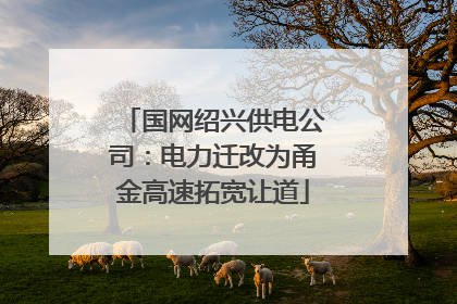 国网绍兴供电公司：电力迁改为甬金高速拓宽让道