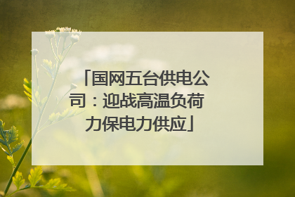 国网五台供电公司：迎战高温负荷 力保电力供应