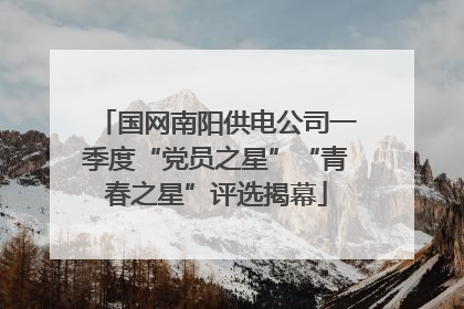 国网南阳供电公司一季度“党员之星”“青春之星”评选揭幕