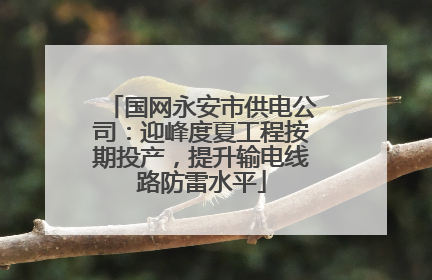 国网永安市供电公司：迎峰度夏工程按期投产，提升输电线路防雷水平