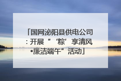 国网泌阳县供电公司：开展“‘粽’享清风 •廉洁端午”活动