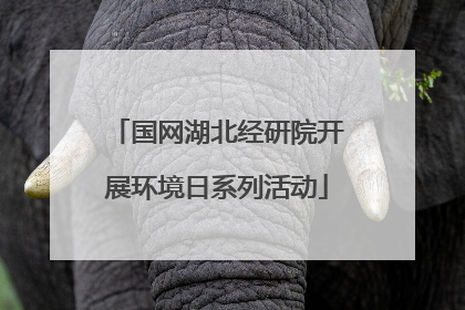 国网湖北经研院开展环境日系列活动
