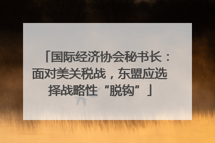 国际经济协会秘书长：面对美关税战，东盟应选择战略性“脱钩”