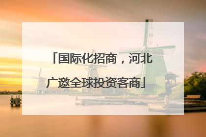 国际化招商，河北广邀全球投资客商
