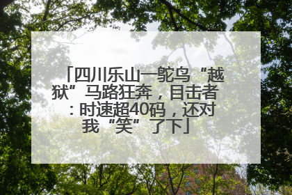 四川乐山一鸵鸟“越狱”马路狂奔，目击者：时速超40码，还对我“笑”了下