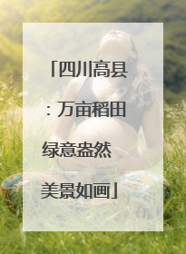 四川高县：万亩稻田绿意盎然 美景如画