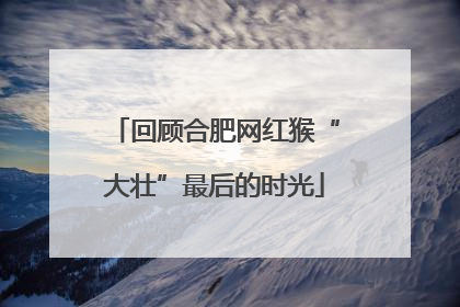 回顾合肥网红猴“大壮”最后的时光