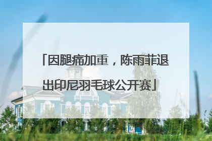 因腿痛加重，陈雨菲退出印尼羽毛球公开赛