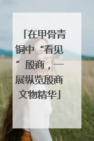 在甲骨青铜中“看见”殷商，一展纵览殷商文物精华