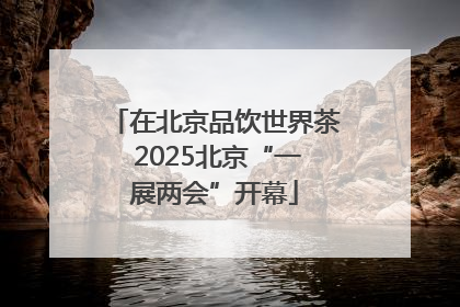在北京品饮世界茶 2025北京“一展两会”开幕