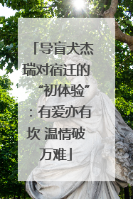 导盲犬杰瑞对宿迁的“初体验”：有爱亦有坎 温情破万难