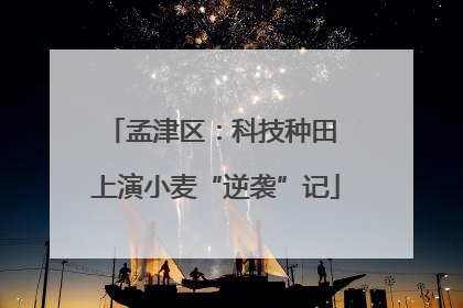孟津区：科技种田 上演小麦“逆袭”记