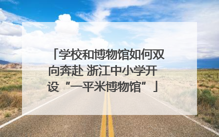 学校和博物馆如何双向奔赴 浙江中小学开设“一平米博物馆”