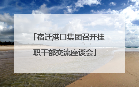 宿迁港口集团召开挂职干部交流座谈会