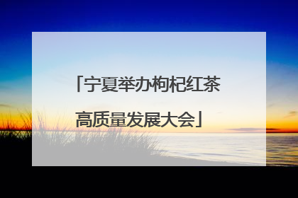 宁夏举办枸杞红茶高质量发展大会