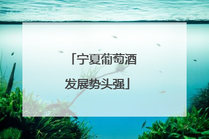 宁夏葡萄酒发展势头强