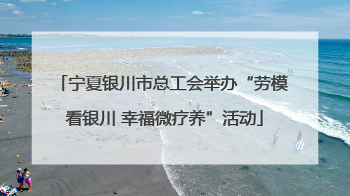 宁夏银川市总工会举办“劳模看银川 幸福微疗养”活动
