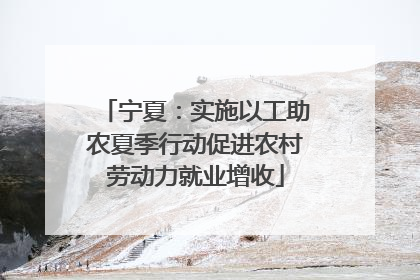 宁夏：实施以工助农夏季行动促进农村劳动力就业增收