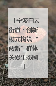 宁波白云街道：创新模式构筑“两新”群体关爱生态圈
