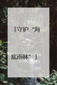 守护“海底雨林”