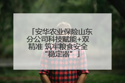 安华农业保险山东分公司科技赋能+双精准 筑牢粮食安全“稳定器”
