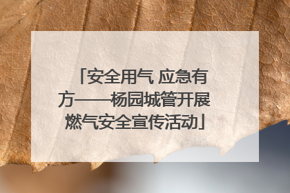 安全用气 应急有方——杨园城管开展燃气安全宣传活动