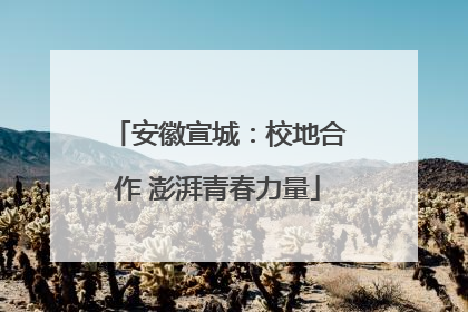 安徽宣城：校地合作 澎湃青春力量