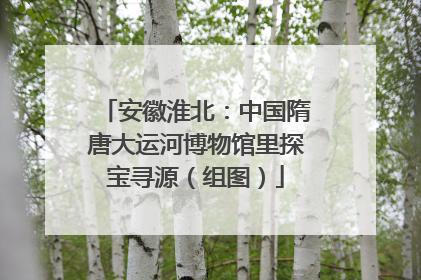 安徽淮北：中国隋唐大运河博物馆里探宝寻源（组图）