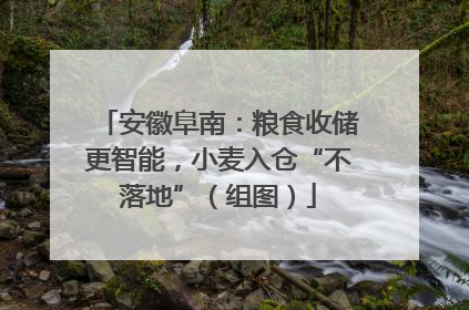 安徽阜南：粮食收储更智能，小麦入仓“不落地”（组图）