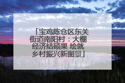 宝鸡陈仓区东关街道南阳村：大棚经济结硕果 绘就乡村振兴新图景