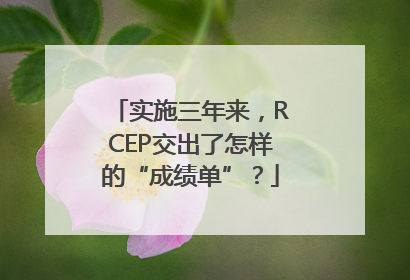 实施三年来，RCEP交出了怎样的“成绩单”？