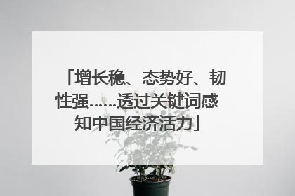 增长稳、态势好、韧性强……透过关键词感知中国经济活力