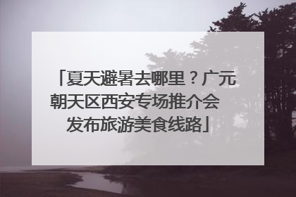 夏天避暑去哪里？广元朝天区西安专场推介会 发布旅游美食线路