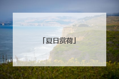 夏日赏荷