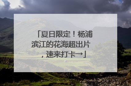 夏日限定！杨浦滨江的花海超出片，速来打卡→