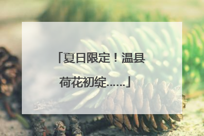 夏日限定！温县荷花初绽……