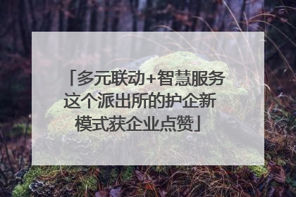 多元联动+智慧服务 这个派出所的护企新模式获企业点赞