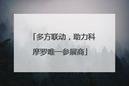 多方联动，助力科摩罗唯一参展商