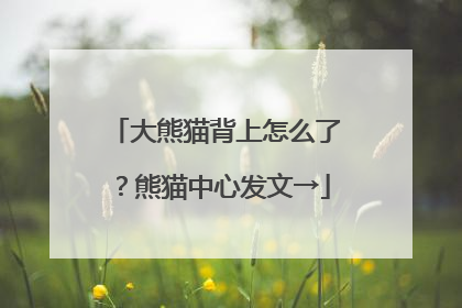 大熊猫背上怎么了？熊猫中心发文→