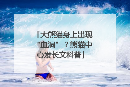 大熊猫身上出现“血洞”？熊猫中心发长文科普