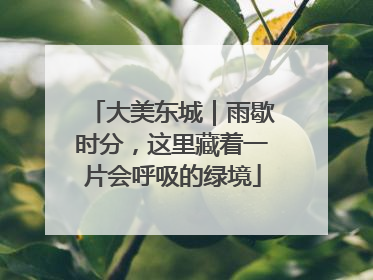 大美东城｜雨歇时分，这里藏着一片会呼吸的绿境