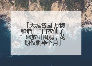 大城名园 万物和谐│“白衣仙子”盛放引围观，花期仅剩半个月