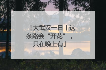 大武汉一日丨这条路会“开花”，只在晚上有