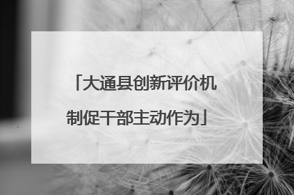 大通县创新评价机制促干部主动作为