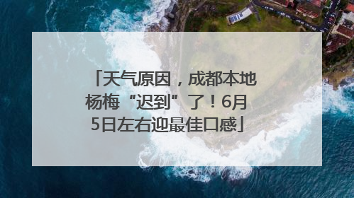 天气原因，成都本地杨梅“迟到”了！6月5日左右迎最佳口感