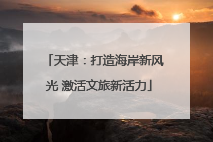天津：打造海岸新风光 激活文旅新活力